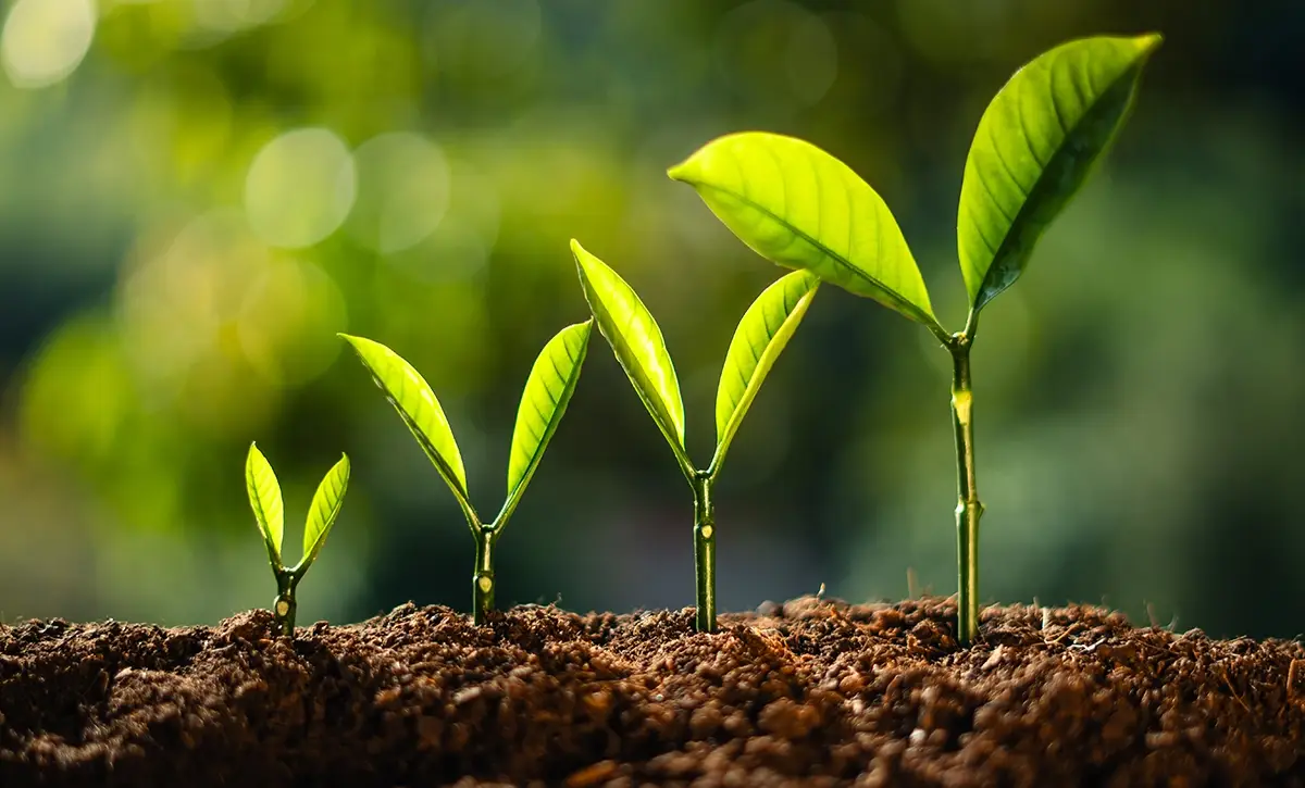 important to reflect on Personal Growth