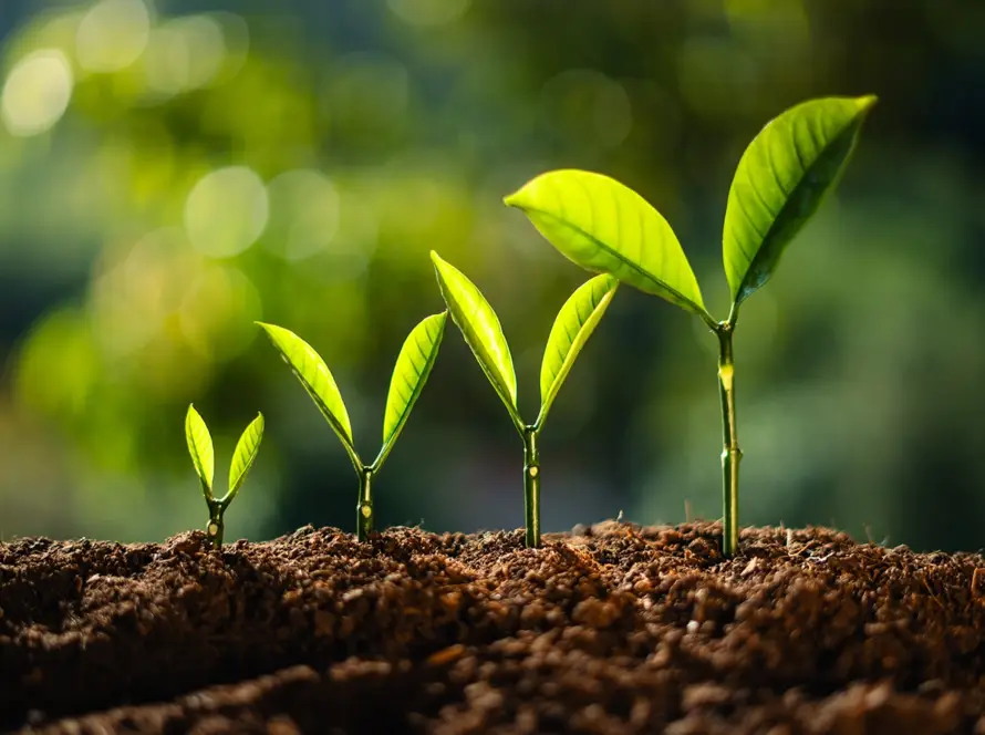 important to reflect on Personal Growth