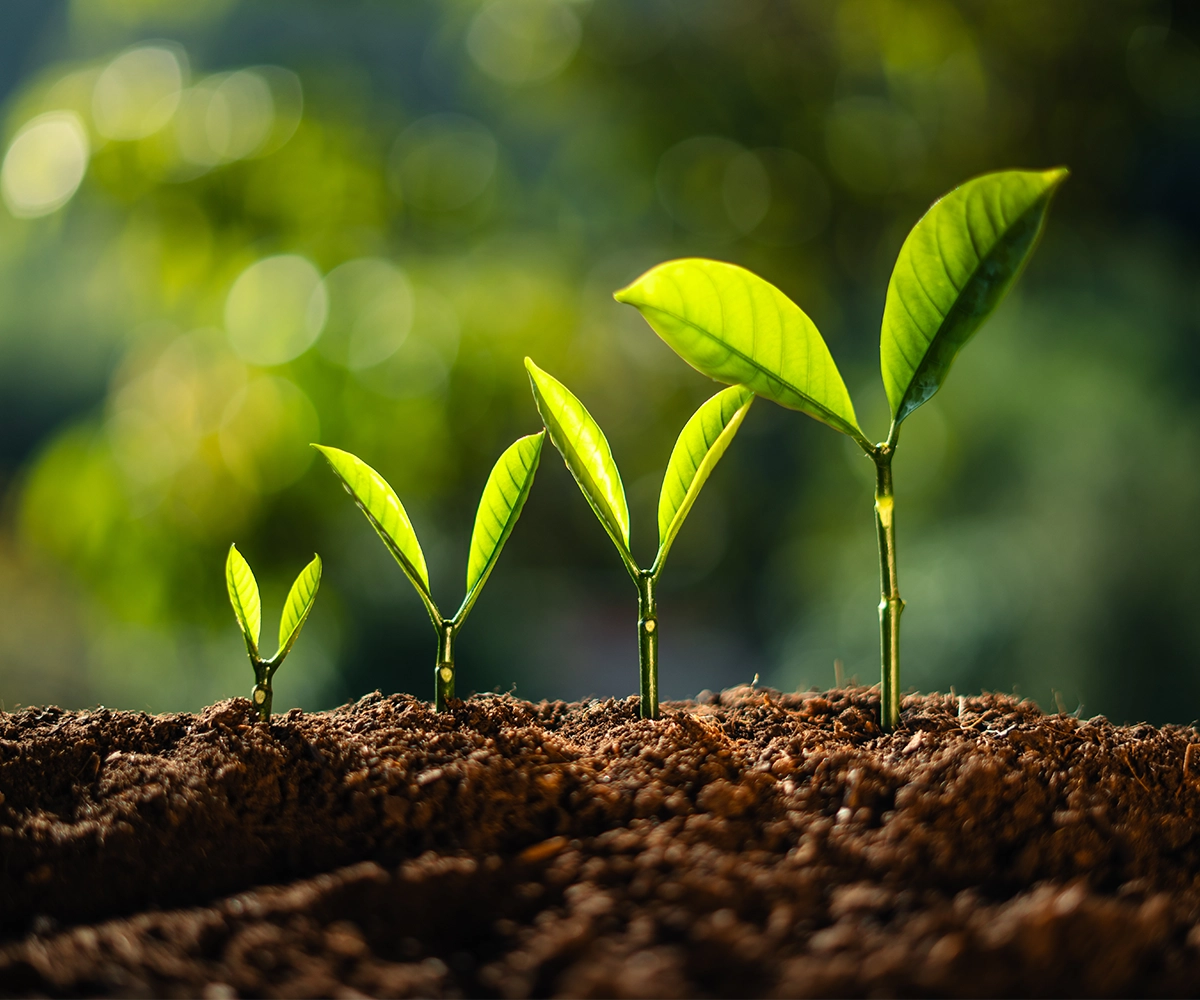 important to reflect on Personal Growth